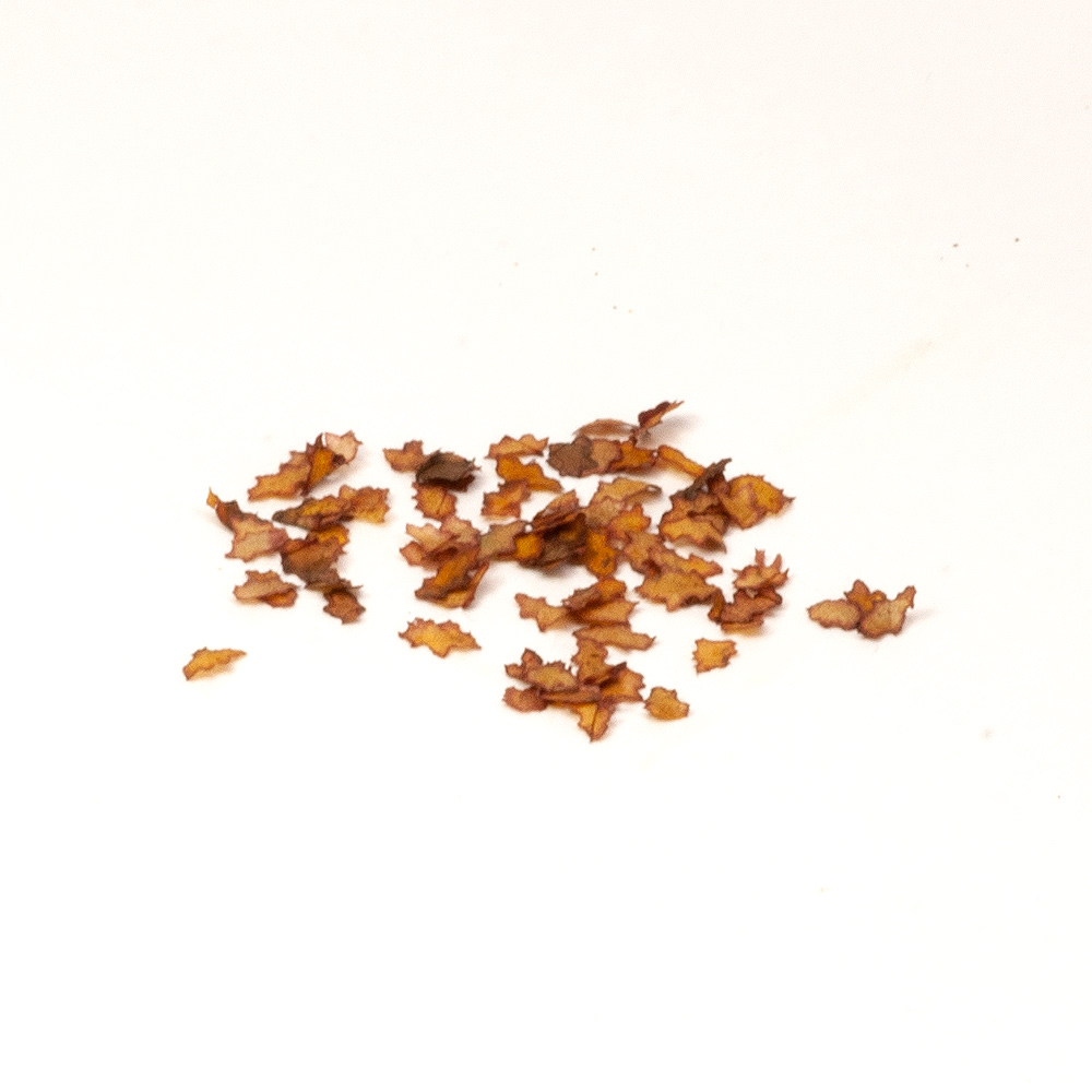 S045MWP Листья дубовые коричневые,  0,4гр (около 550 шт.)