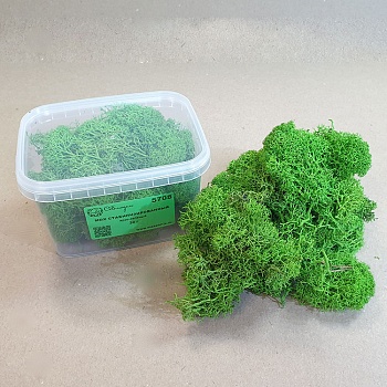 5708 мох стабилизированный - 30 г - ярко-зеленый