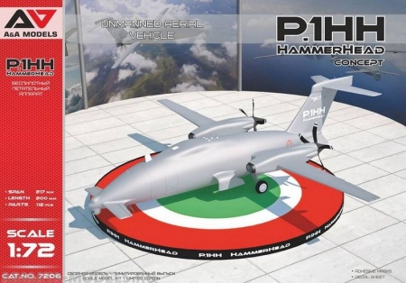 АА7206 Дальний разведывательный БПЛА P.1HH HammerHead A&A models