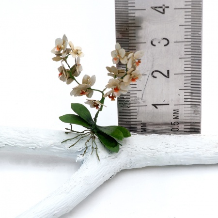 S176MWP Орхидея, размер L