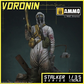 MR-AM08 Миниатюра Voronin