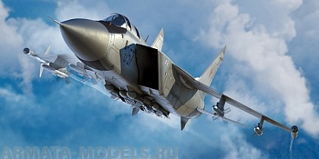 01681 Самолёт  Russian M-31M Foxhound  